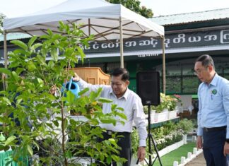 미얀마, 2025년 제2차 몬순 나무심기 행사…녹지 확대 목표 발표