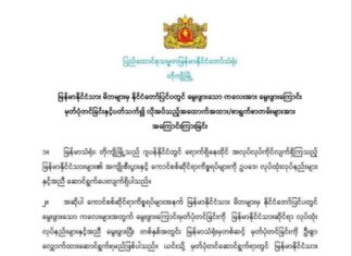 주일본 미얀마대사관 출생등록 신청 절차 발표: 부모 모두 미얀마 시민이어야