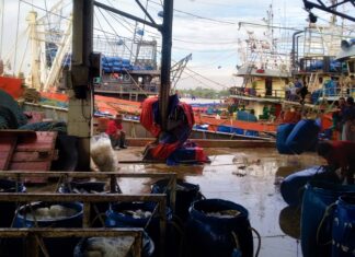 수산물 어획 시작… 내수산 어류 가격 하락 가능성