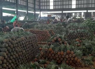 샨주남부, 농산물 유통의 중심지로 부상하나… Kalaw 타운십 도매시장 개설 계획