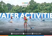 양곤 자연 속으로… Hlawga Park, 대대적인 개편! 트레킹·사이클링·SUP 등 다양한 액티비티 제공