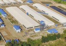 바고, 산업·농업·수산업 발전 위한 공장 자립 전력 구축 촉구… 지역 투자 확대 및 일자리 창출 강조