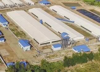 바고, 산업·농업·수산업 발전 위한 공장 자립 전력 구축 촉구… 지역 투자 확대 및 일자리 창출 강조