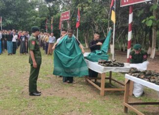 미얀마, 예비군 재취업 지원 특별 관리 위원회 설립