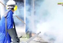 흘라잉따야 서부 타운십 뎅기열 급증, 보건당국 확산 방지 조치 착수