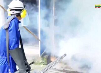 흘라잉따야 서부 타운십 뎅기열 급증, 보건당국 확산 방지 조치 착수