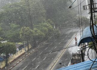 양곤 Kabar Aye Pagoda Road에서 강풍으로 나무와 전신주 쓰러져 도로 일시 폐쇄