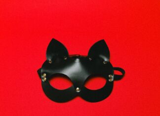 미얀마 남성들, ‘영상 통화 협박’ 온라인 성범죄 표적 되다… 주의보 발령 leather cat mask