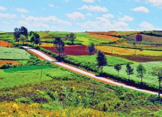 샨주 투자 급증과 1,700명 신규 고용 창출