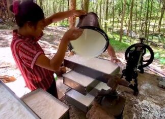 미얀마, 2025~26년 고무 수출 30만 톤 목표… 중국·동아시아 시장 확대 노린다