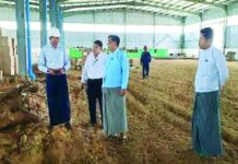 네피도 신공장 건설, EV와 태양광까지…미얀마 제조업 변화 예고