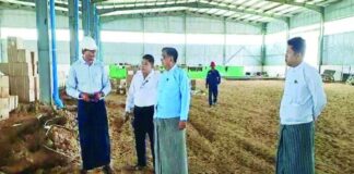 네피도 신공장 건설, EV와 태양광까지…미얀마 제조업 변화 예고