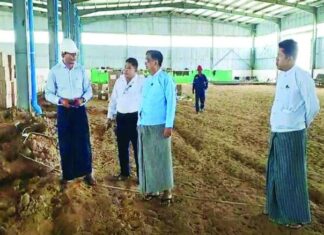 네피도 신공장 건설, EV와 태양광까지…미얀마 제조업 변화 예고