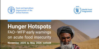 미얀마, 세계 최고 ‘기아 위험 지역’ 등극… 31% 초인플레이션으로 360만 명 생존 위기 직면