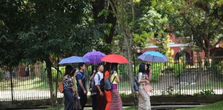 테러 위협 속에서도 양곤 대학 등록률 ‘3배 폭증’ 현황 포착, ‘공포’를 이긴 ‘교육열’의 실체!