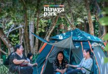 미얀마 Hlawga Park, 겨울 캠핑 ‘Campaign for Joy’ 시작…특가 패키지·농장식사 제공