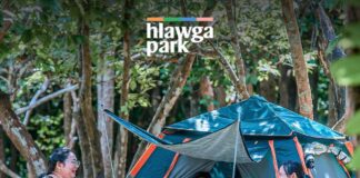 미얀마 Hlawga Park, 겨울 캠핑 ‘Campaign for Joy’ 시작…특가 패키지·농장식사 제공