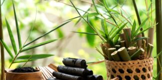 네피도에 대규모 대나무 숯 공장 추진…중국·일본 수출 목표와 500명 신규 고용 전망