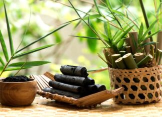 네피도에 대규모 대나무 숯 공장 추진…중국·일본 수출 목표와 500명 신규 고용 전망