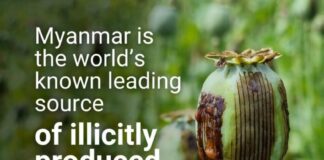 미얀마 불법 양귀비 경작, 최근 10년 내 최고치…UNODC ‘세계 최대 생산지’로 재확인