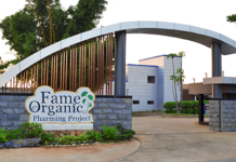 관광지로 떠오르는 미얀마의 농촌과 농업… 농촌체험 관광이 일으키는 변화