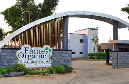 250102-Agricultural Tourism2