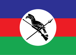 친주 남부 저항세력 합류로 Chin People’s Army 창설…통합 군사 조직으로 첫발 내딛어