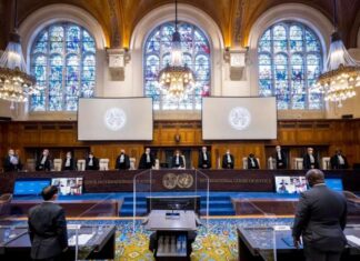 미얀마, ICJ에서 로힝야 집단학살 혐의로 재판…Gambia의 주장과 그 배경 집중 분석