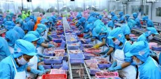 미얀마, 40여 개국에 수산물 수출 지속…2025-2026 회계연도 9개월간 2억 7,890만 달러 실적