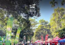 120년의 역사를 자랑하는 양곤동물원, 대규모 기념 페스티벌 개최
