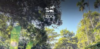 120년의 역사를 자랑하는 양곤동물원, 대규모 기념 페스티벌 개최