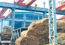 미얀마 사가잉 지역, 사탕수수 가격 갈등…농민-공장 협상 진통