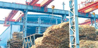 미얀마 사가잉 지역, 사탕수수 가격 갈등…농민-공장 협상 진통