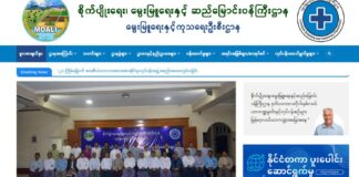 미얀마 “고양이·개 진료소 모두 단속”… 네피도 타운십 등 무허가 동물병원 2월 15일까지 신고 명령