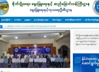 미얀마 “고양이·개 진료소 모두 단속”… 네피도 타운십 등 무허가 동물병원 2월 15일까지 신고 명령