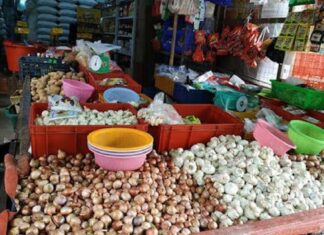 미얀마 주요 산지 붉은 양파 가격 하락…농민들 심각한 손실 우려