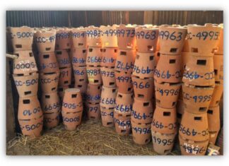 미얀마 친환경 화덕 사업, UN 첫 탄소배출권 인정…한국 기업과 협력해 온실가스 감축