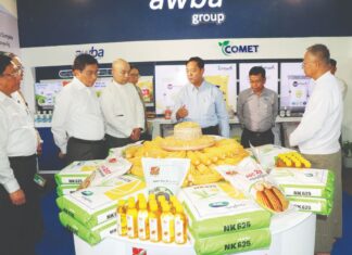 미얀마, 1만 개 협동조합 통해 90만 농민 지원