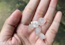 양곤, 폭우와 우박 동반한 기상 변화…주민들 “외출 시 주의 필요”