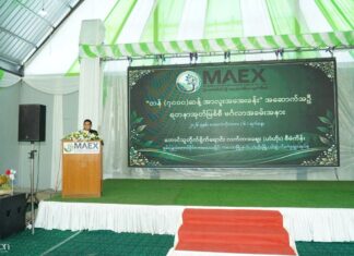 MAEX, 샨주 Heho에 7,000톤 감자 냉장시설 추진…1단계 10개월 내 완료 목표